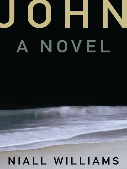 Title details for John by Niall Williams - Available